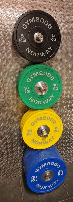 GYM2000 Vektskivestativ INOX, 50mm