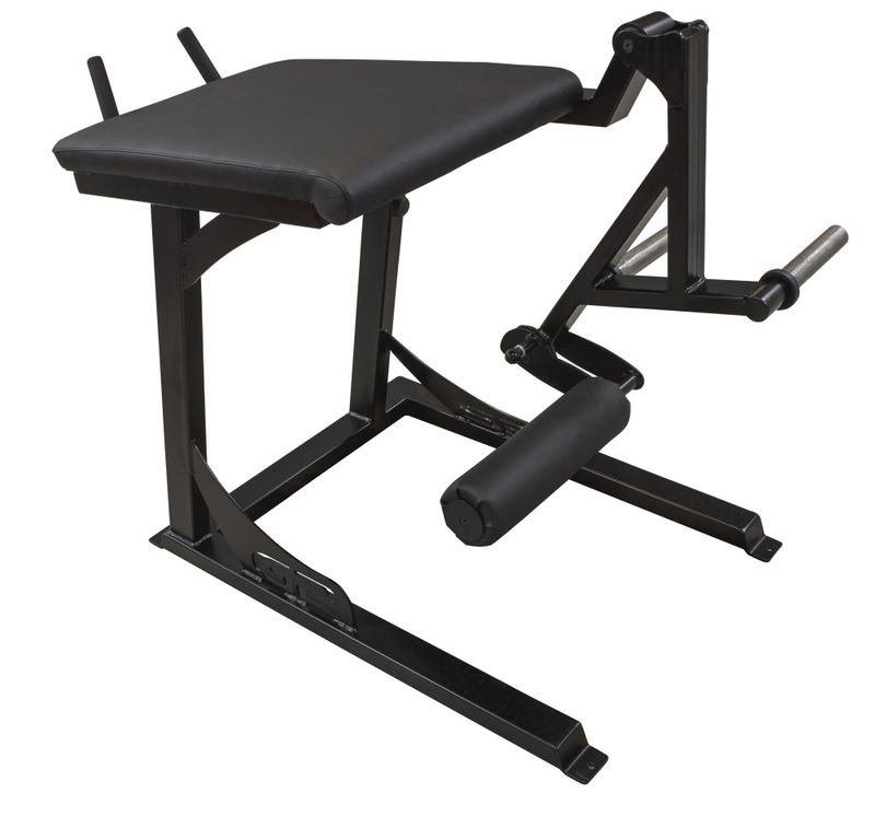 GYM2000 Reverse Hyper